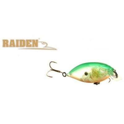 Raiden